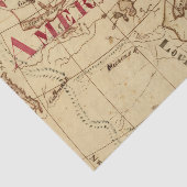 Noord-Amerika 8 Tissuepapier (Detail)