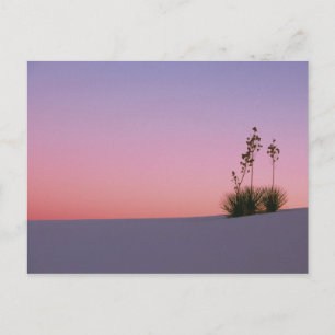 Noord-Amerika, Amerika, New Mexico, Wit Briefkaart