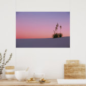 Noord-Amerika, Amerika, New Mexico, Wit Poster (Keuken)