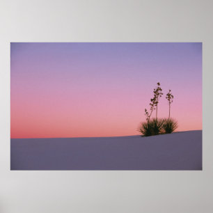 Noord-Amerika, Amerika, New Mexico, Wit Poster