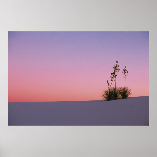 Noord-Amerika, Amerika, New Mexico, Wit Poster (Voorkant)