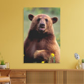 Noord-Amerika, Californië, beer kaneel zwart Canvas Afdruk (Insitu (Woonkamer))