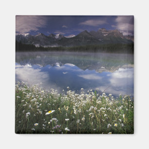 Noord-Amerika, Canada, Alberta, Banff Nationaal Magneet