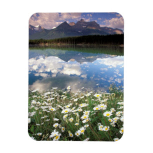 Noord-Amerika, Canada, Alberta, Banff National 2 Magneet