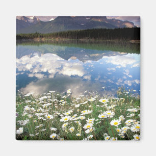 Noord-Amerika, Canada, Alberta, Banff National 2 Magneet