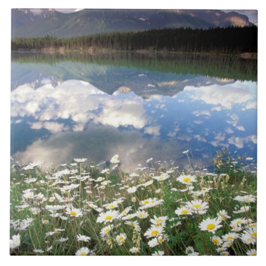 Noord-Amerika, Canada, Alberta, Banff National 2 Tegeltje (Voorkant)