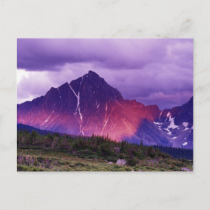 Noord-Amerika, Canada, Alberta, Canadees Briefkaart