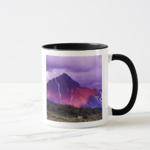 Noord-Amerika, Canada, Alberta, Canadees Mok