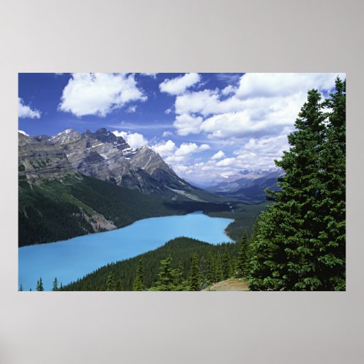 Noord-Amerika, Canada, Alberta, Jasper 6 Poster (Voorkant)