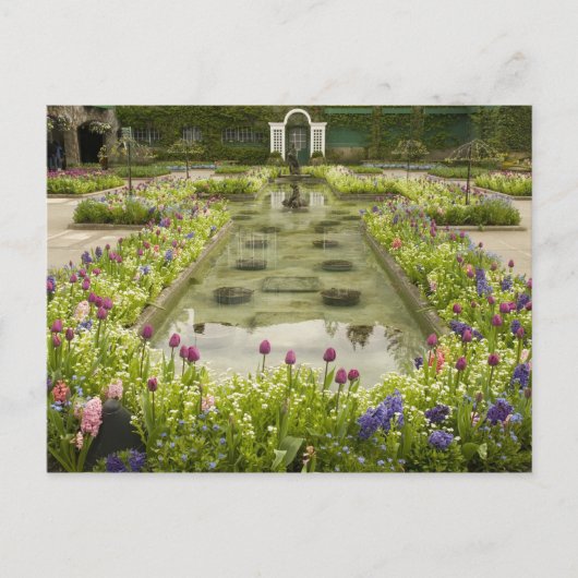 Noord-Amerika, Canada, British Columbia, 4 Briefkaart (Voorkant)