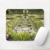 Noord-Amerika, Canada, British Columbia, 4 Muismat (Met muis)