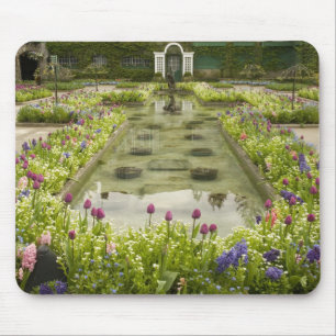 Noord-Amerika, Canada, British Columbia, 4 Muismat