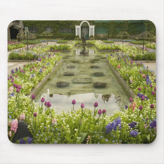 Noord-Amerika, Canada, British Columbia, 4 Muismat (Voorkant)