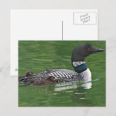 Noord-Amerika, Canada, British Columbia Briefkaart (Voorkant / Achterkant)