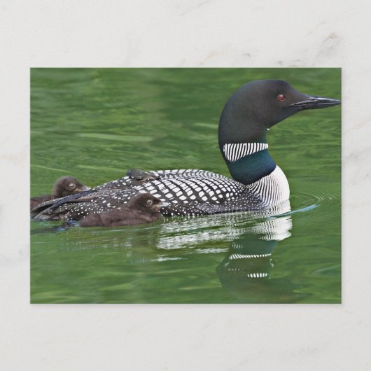 Noord-Amerika, Canada, British Columbia Briefkaart (Voorkant)