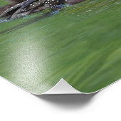 Noord-Amerika, Canada, British Columbia Foto Afdruk (Hoek)