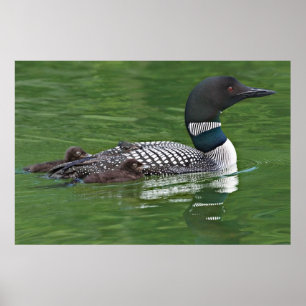 Noord-Amerika, Canada, British Columbia, Lac 2 Poster