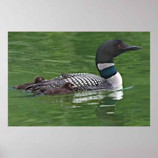 Noord-Amerika, Canada, British Columbia, Lac 2 Poster (Voorkant)