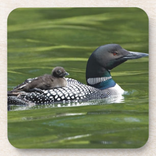 Noord-Amerika, Canada, British Columbia, Lac Le Bier Onderzetter