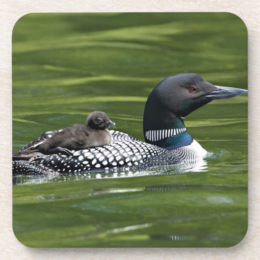 Noord-Amerika, Canada, British Columbia, Lac Le Bier Onderzetter (Voorkant)