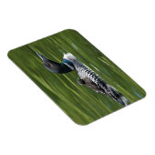 Noord-Amerika, Canada, British Columbia, Lac Le Magneet (Rechterzijde)