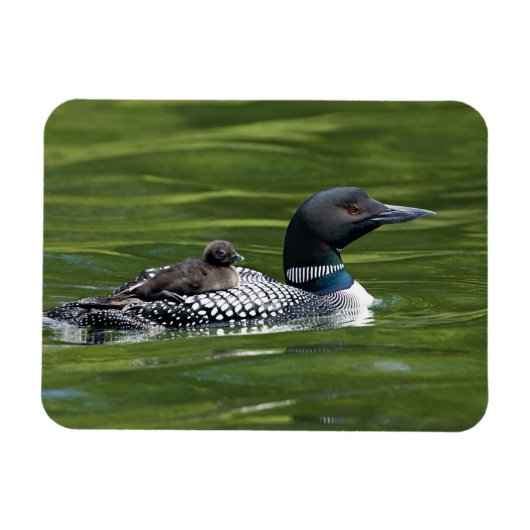 Noord-Amerika, Canada, British Columbia, Lac Le Magneet (Horizontaal)