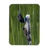 Noord-Amerika, Canada, British Columbia, Lac Le Magneet (Verticaal)