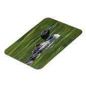 Noord-Amerika, Canada, British Columbia, Lac Le Magneet (Linkerzijde)