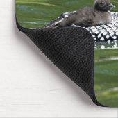 Noord-Amerika, Canada, British Columbia, Lac Le Muismat (Hoek)