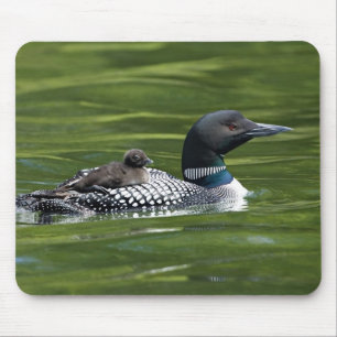 Noord-Amerika, Canada, British Columbia, Lac Le Muismat