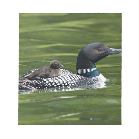 Noord-Amerika, Canada, British Columbia, Lac Le Notitieblok (Voorkant)