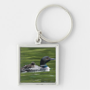 Noord-Amerika, Canada, British Columbia, Lac Le Sleutelhanger