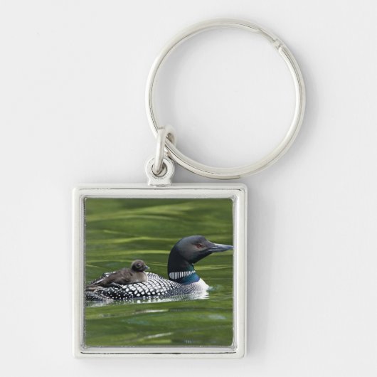 Noord-Amerika, Canada, British Columbia, Lac Le Sleutelhanger (Voorkant)