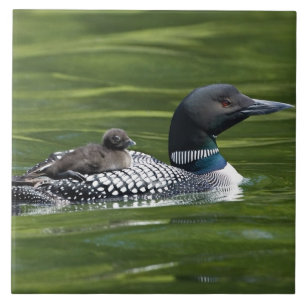 Noord-Amerika, Canada, British Columbia, Lac Le Tegeltje