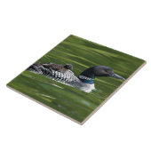 Noord-Amerika, Canada, British Columbia, Lac Le Tegeltje (Zijkant)