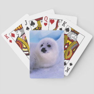 Noord-Amerika, Canada, Golf van St. Lawrence Speelkaarten