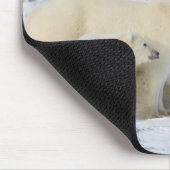 Noord-Amerika, Canada, Manitoba, Churchill. 4 Muismat (Hoek)