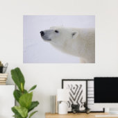 Noord-Amerika, Canada, Manitoba, Churchill. 7 Poster (Thuiskantoor)