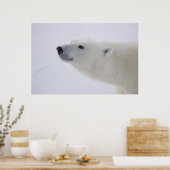 Noord-Amerika, Canada, Manitoba, Churchill. 7 Poster (Keuken)