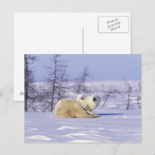 Noord-Amerika, Canada, Manitoba, Churchill. 9 Briefkaart (Voorkant / Achterkant)