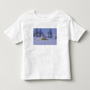 Noord-Amerika, Canada, Manitoba, Churchill Kinder Shirts