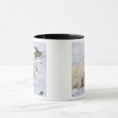 Noord-Amerika, Canada, Manitoba, Churchill Mok (Midden)