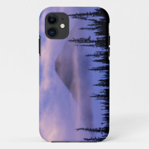 Noord-Amerika, Canada, Northwest Territories, iPhone 11 Hoesje