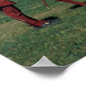 Noord-Amerika, Canada, Nova Scotia, Cape Breton, 2 Poster (Hoek)