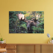 Noord-Amerika, Canada, Nova Scotia, Cape Breton Canvas Afdruk (Insitu (Woonkamer))