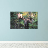 Noord-Amerika, Canada, Nova Scotia, Cape Breton Canvas Afdruk (Insitu (Houten vloer))