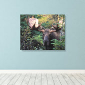 Noord-Amerika, Canada, Nova Scotia, Cape Breton Canvas Afdruk (Insitu (Houten vloer))