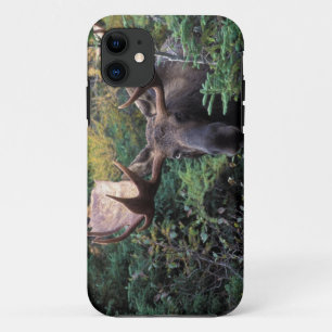 Noord-Amerika, Canada, Nova Scotia, Cape Breton Case-Mate iPhone Case