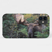 Noord-Amerika, Canada, Nova Scotia, Cape Breton Case-Mate iPhone Case (Achterkant (horizontaal))