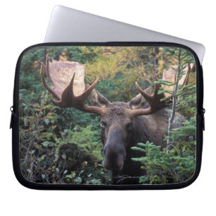 Noord-Amerika, Canada, Nova Scotia, Cape Breton Laptop Sleeve